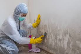 Best Biohazard Mold Removal  in Neillsville, WI